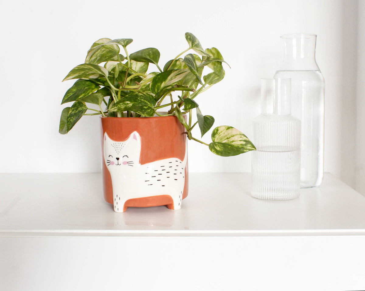 Pot de fleurs Chat