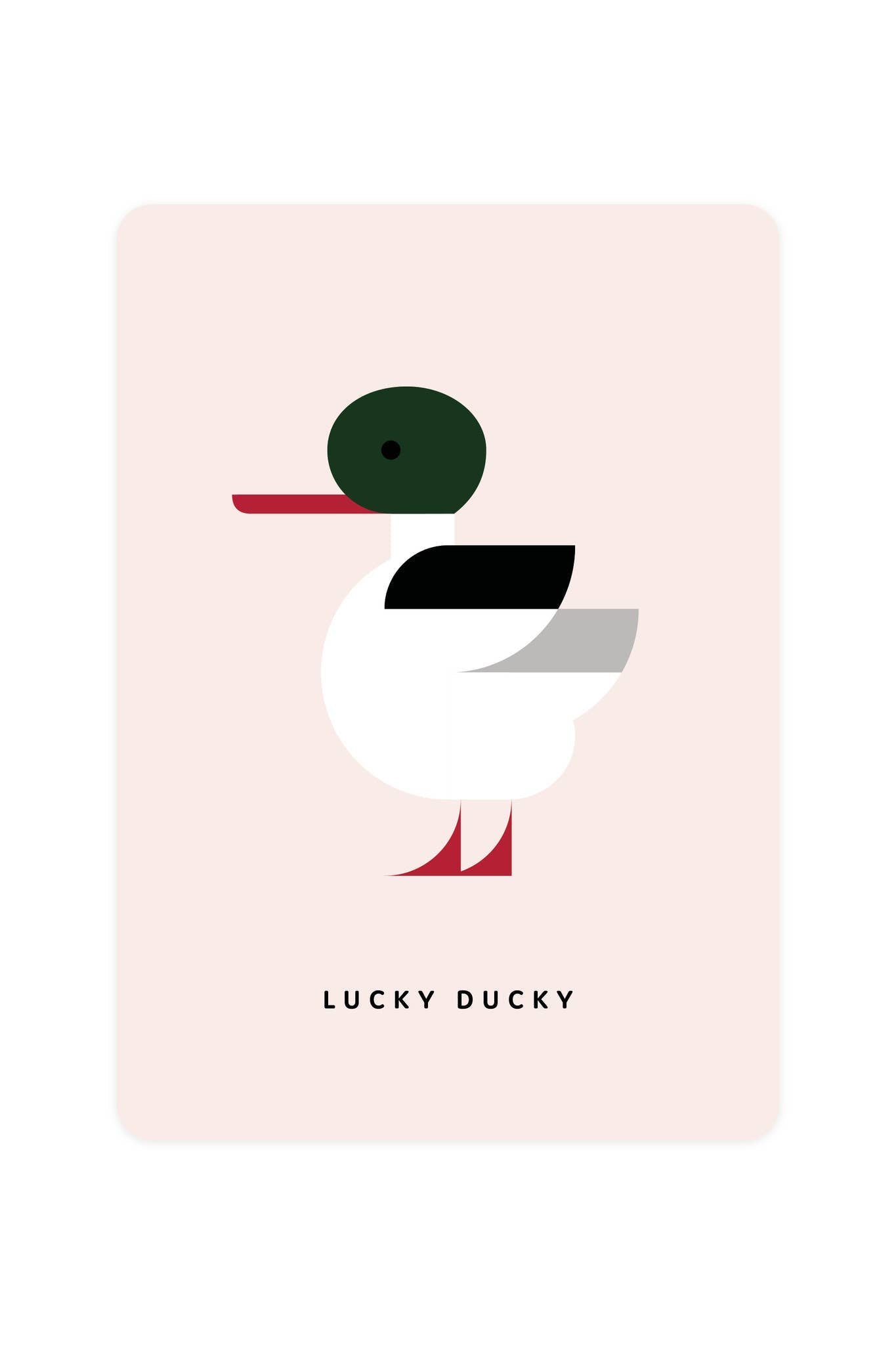 Postcard with Merganser - Lucky Ducky