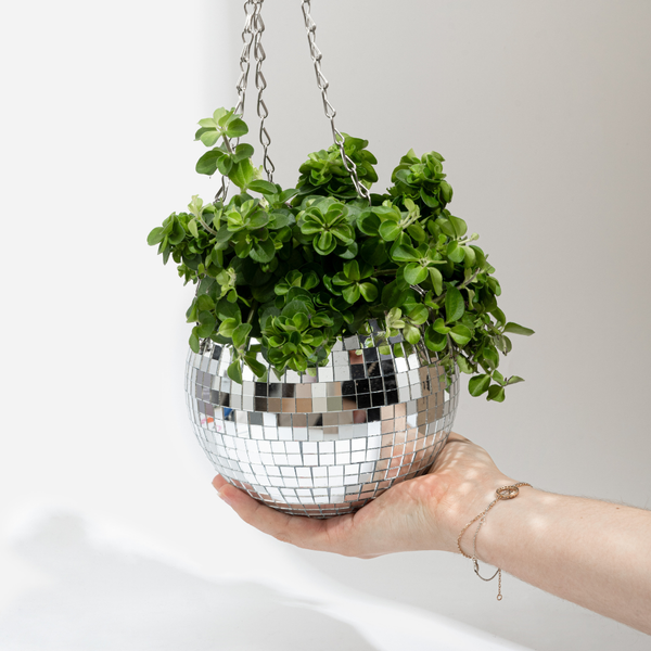 Cache pot à plantes Disco boule à facettes 15cm