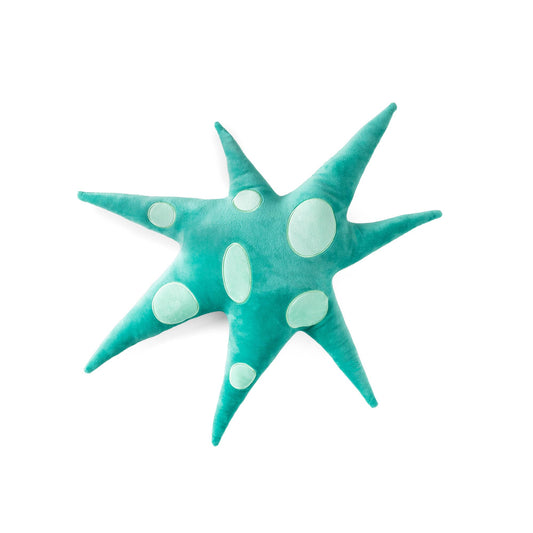 Étoile Polaire Verte Coussin Helio Ferretti Vue 1