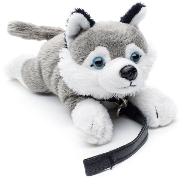 Peluche Husky (avec laisse), Uni Toys
