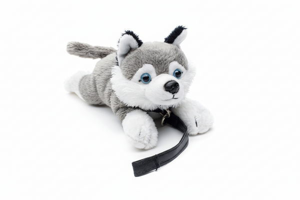 Peluche Husky (avec laisse), Uni Toys