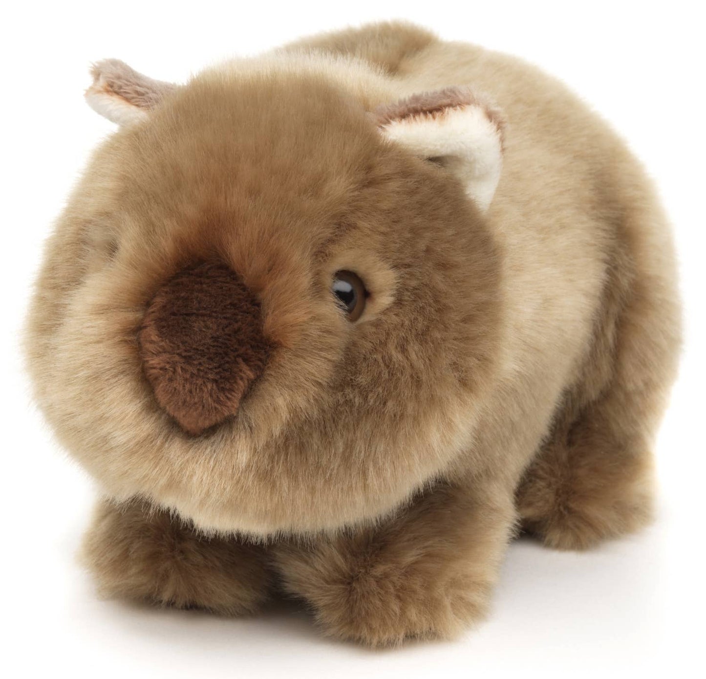 Wombat - 19 cm (largo) - Peluche