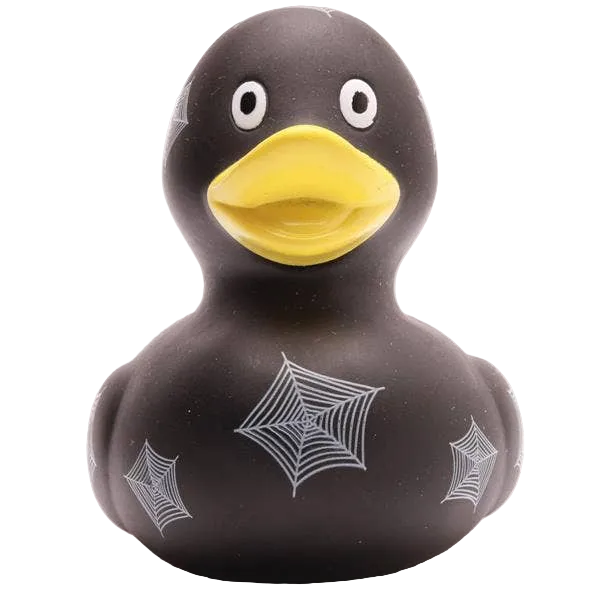 Canard Toile d'Araignée
