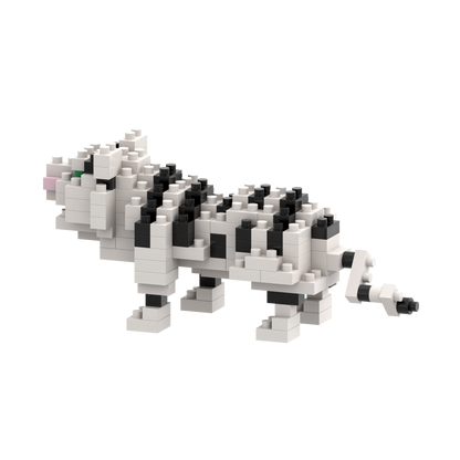 BRIXIES Tigre Blanc