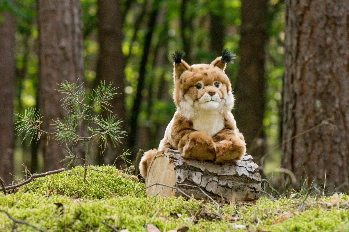 Plüsch Luchs Liegend