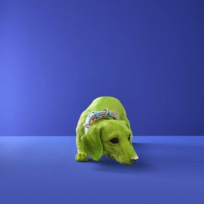 Chien Teckel Wilfried M. Collier, Résine poly verte
