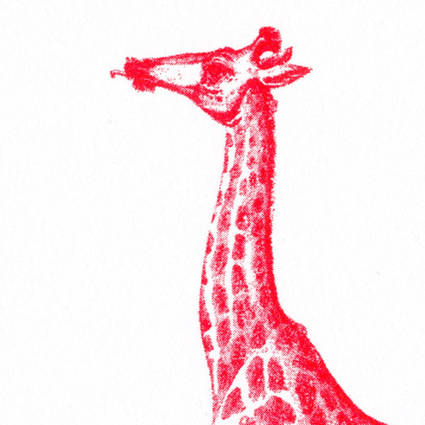 Cartolina Giraffa Rossa