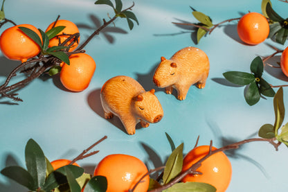 Sel et poivre Capybaras
