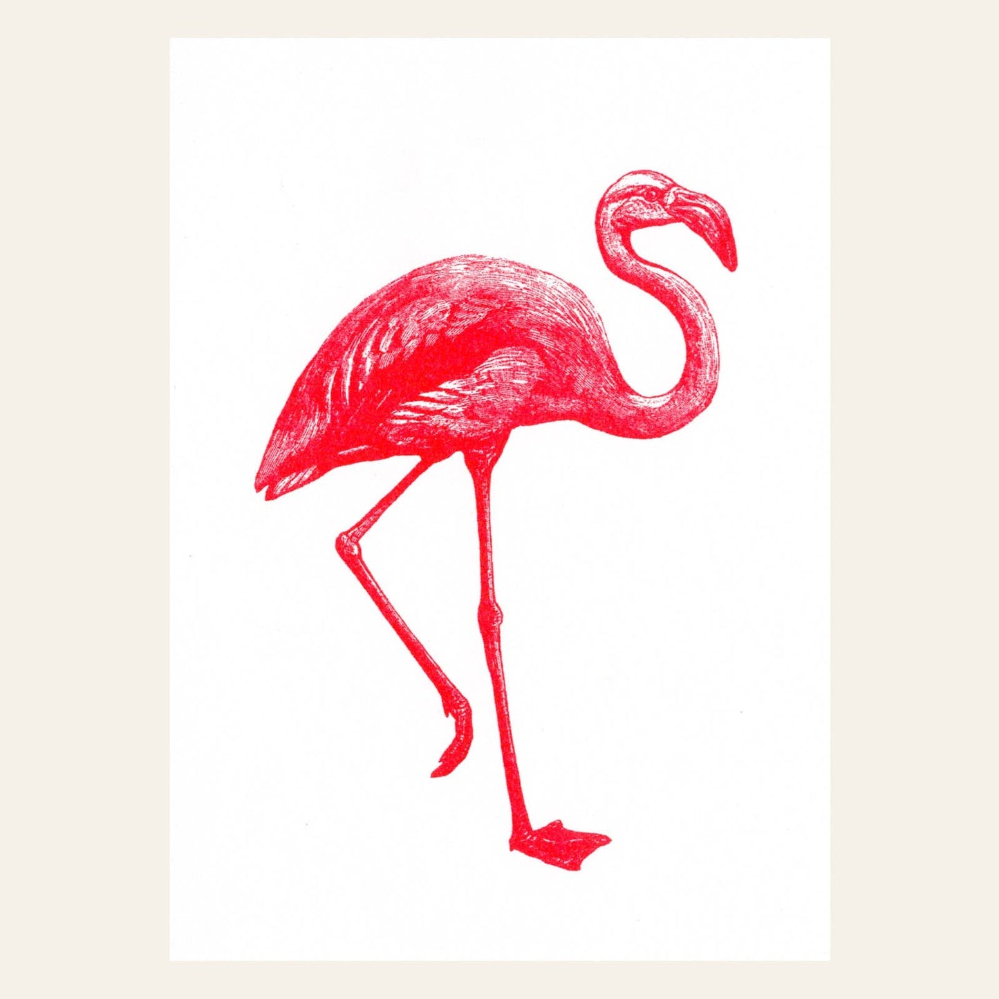 Carte postale Flamant Rose
