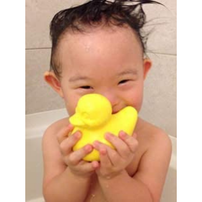 Pato amarillo el buen pato