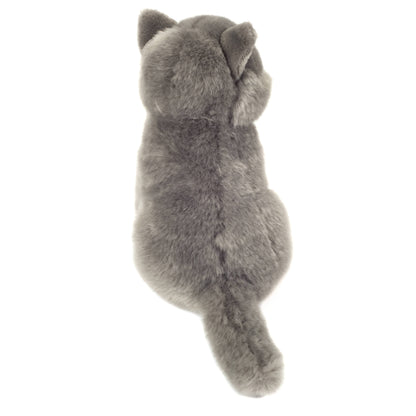 Peluche de gatito Chartreux sentado