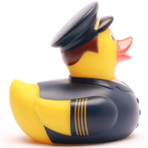 Canard Pilote de ligne