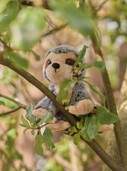 Peluche bradipo coccoloso