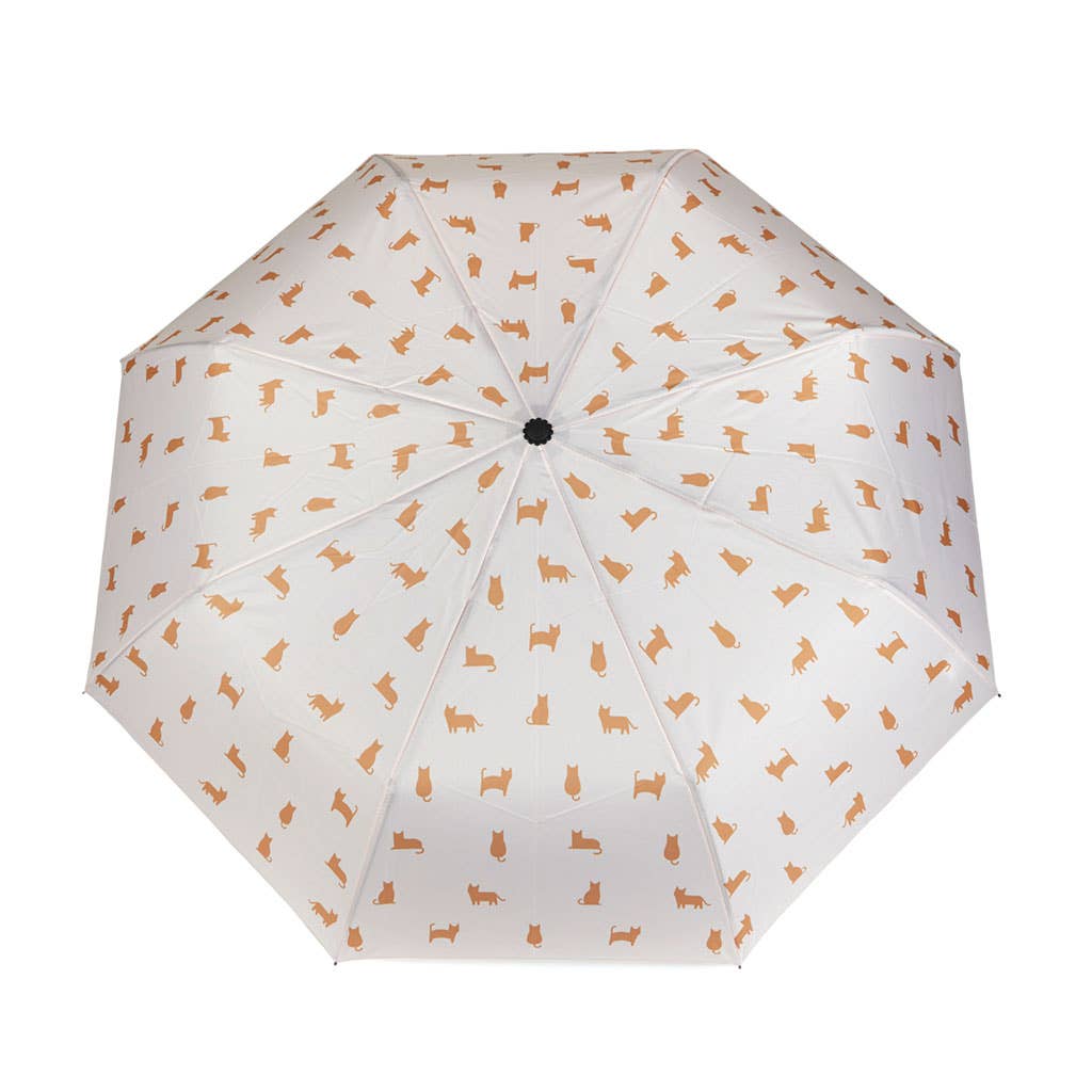 Guarda-chuva Meowmbrella Calico com capa, em neoprene.