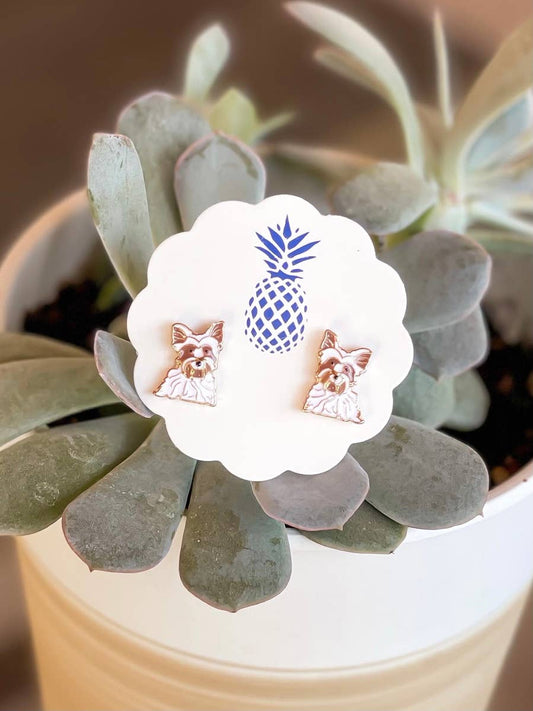 Clous d'oreilles Yorkshire Terrier