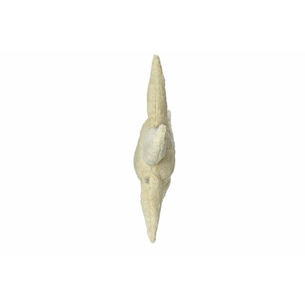 Peluche Étoile de Mer, Petit