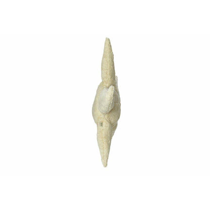 Peluche étoile de mer, petit