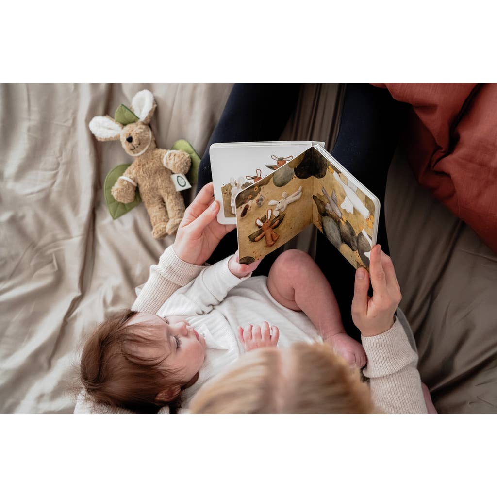 Wordless book Senger-Naturwelt - Flying High