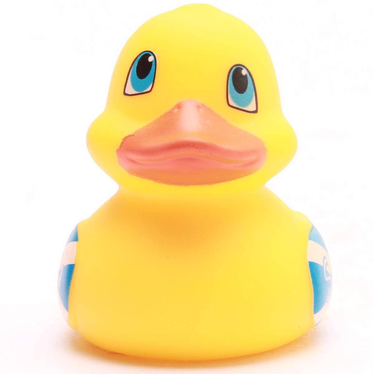 Mini Canard Écosse