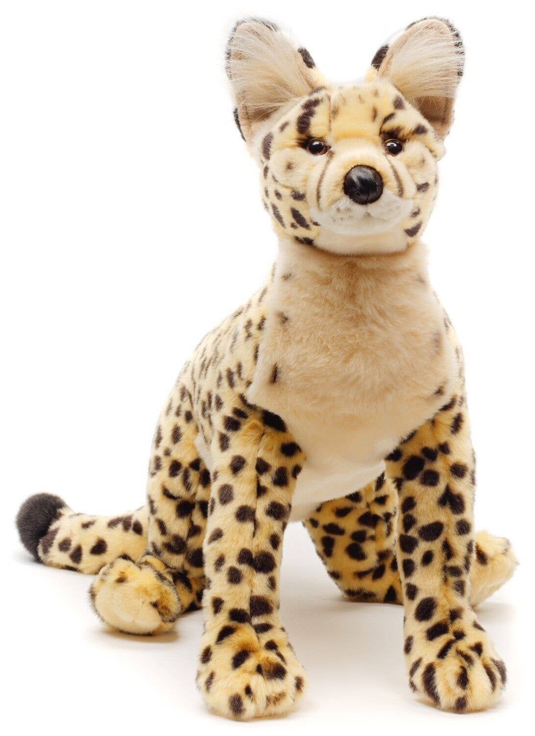 Plush Savannah Cat Lying Down