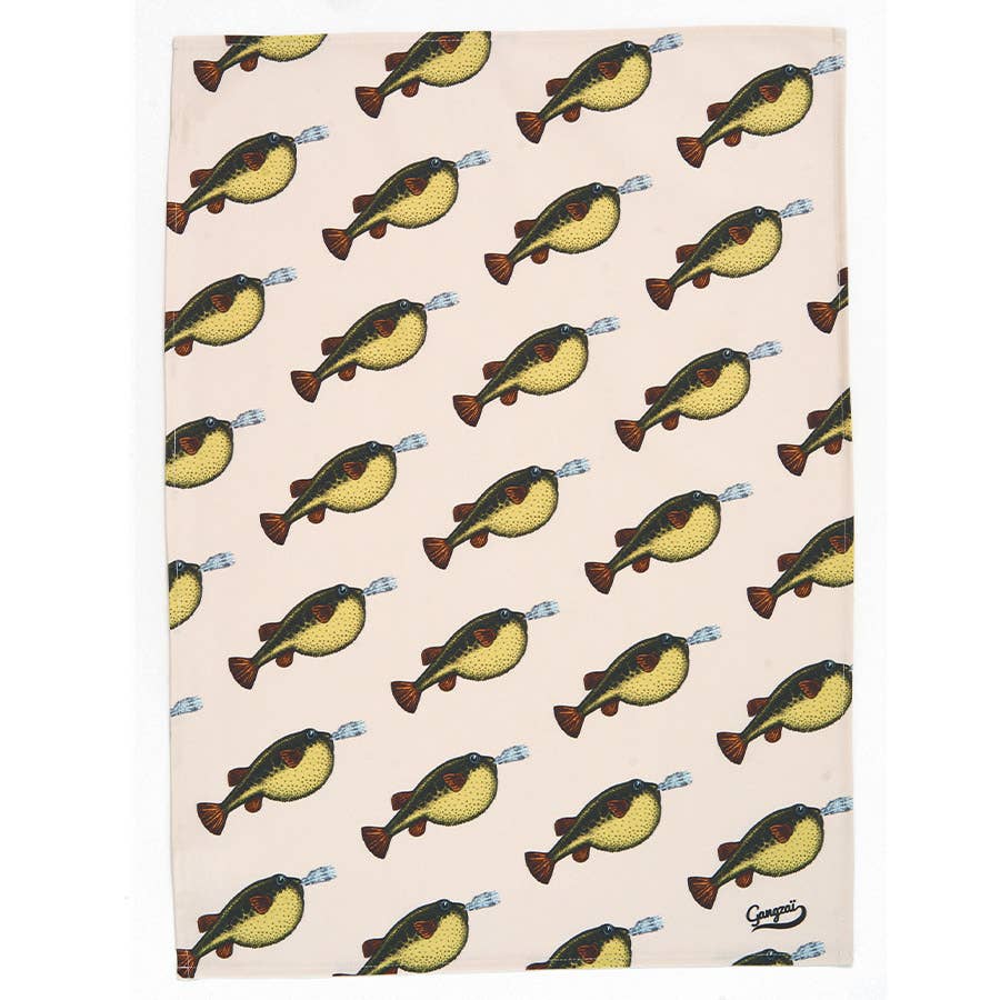 Pesce palla