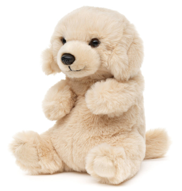 Peluche Labrador, assis kawaii Uni Toys