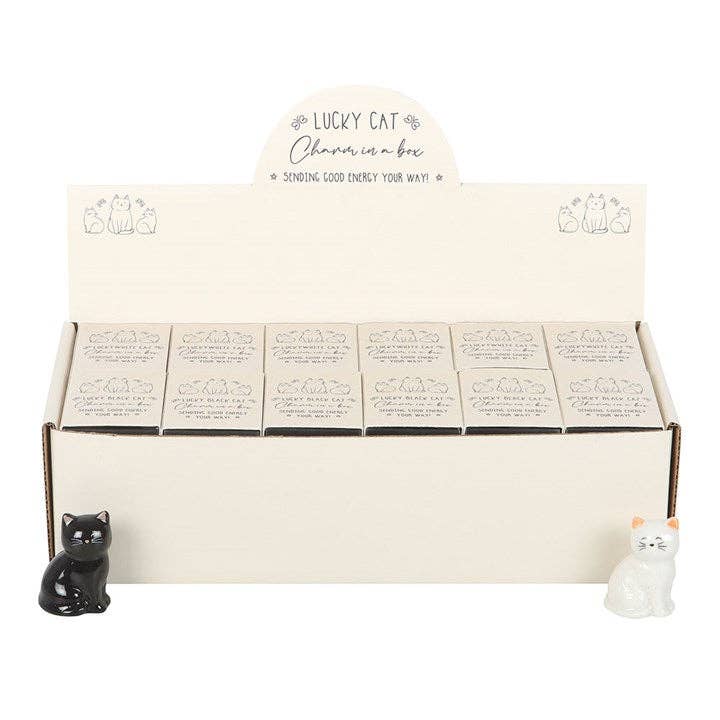 Conjunto de 24 amuletos de la suerte de gatos blancos y negros en una caja.