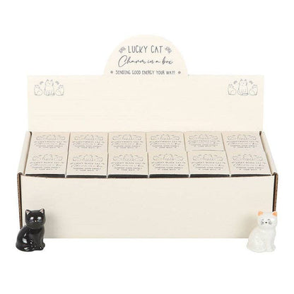 Conjunto de 24 amuletos de la suerte de gatos blancos y negros en una caja.