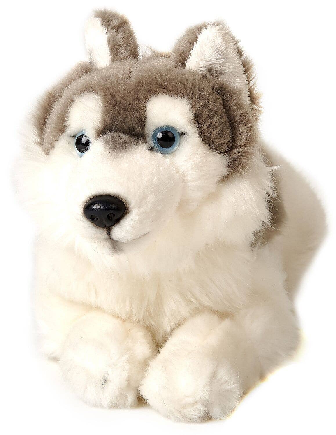 Peluche Husky gris, couché - 31 cm (longueur)