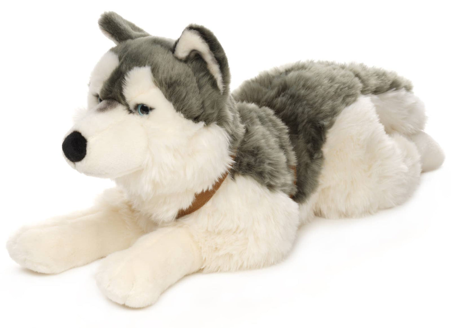 Husky de peluche, deitado (com coleira)