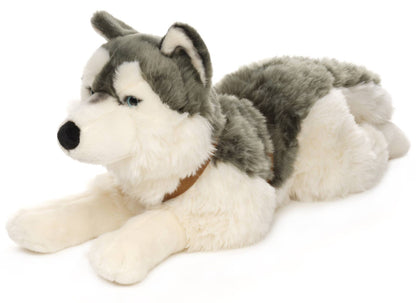 Husky de peluche, deitado (com coleira)