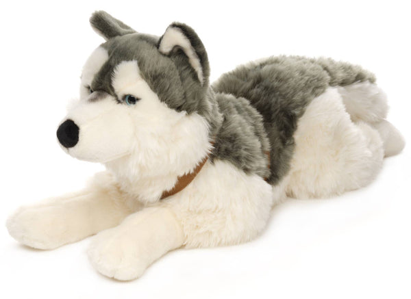 Peluche Husky, couché (avec harnais) Uni Toys