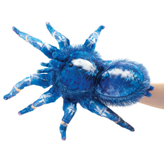 Marionnette à main Tarentule bleue/Tarentule bleue 3222 Folkmanis réaliste