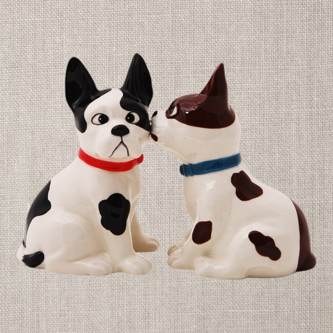 Funny Dog Cross Salt and Pepper Shaker Set