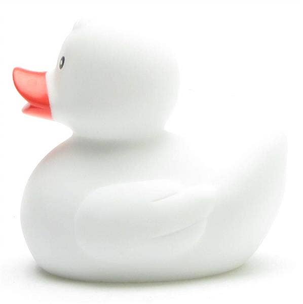 canard classique blanc