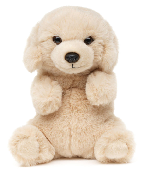 Peluche Labrador, assis kawaii Uni Toys