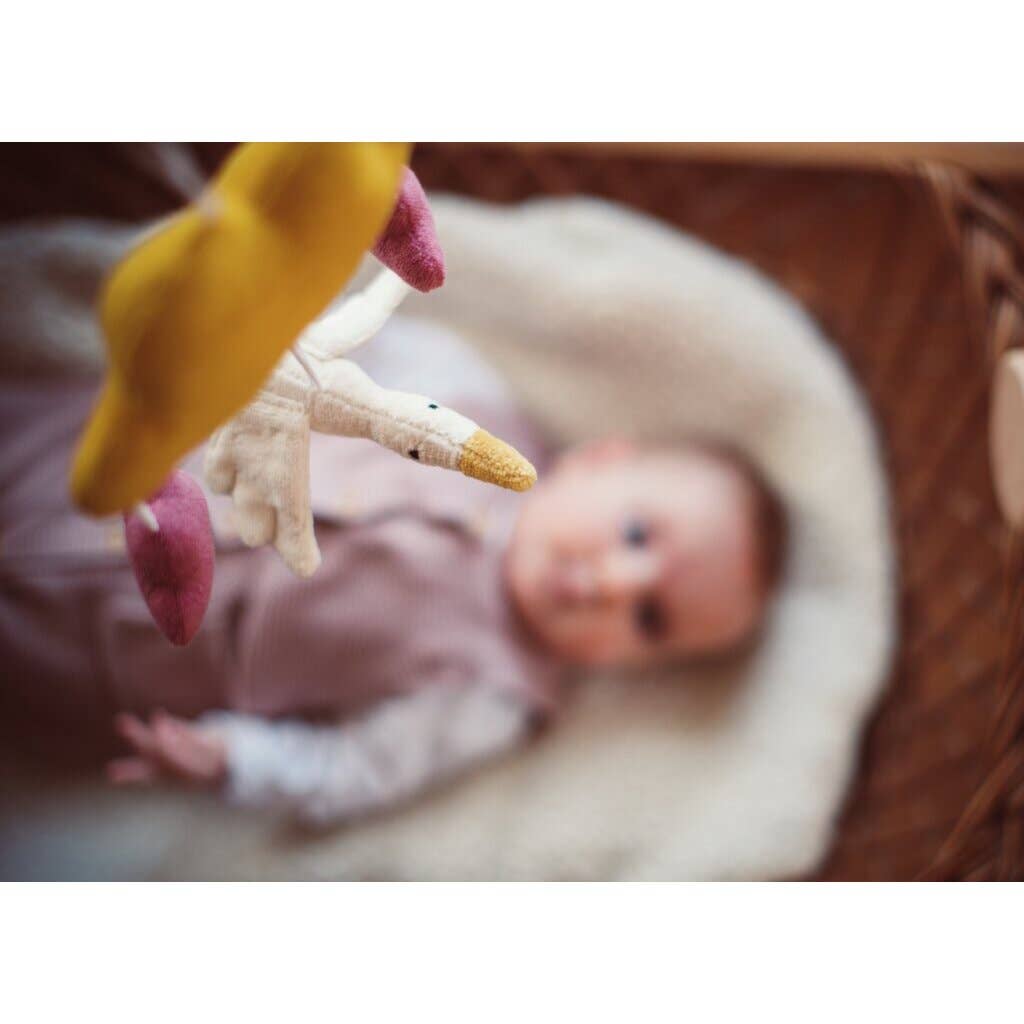 Sunrise Mobile | Rosa