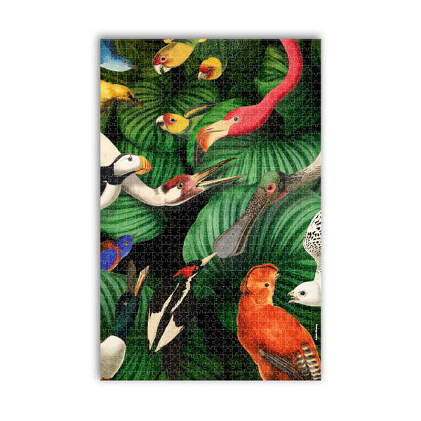 Puzzle 1000 pièces, Musée Teylers, Vie des oiseaux