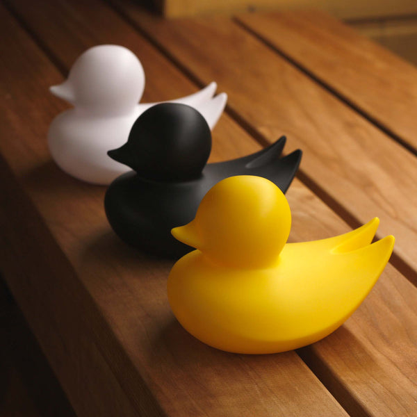 Canard Minimaliste