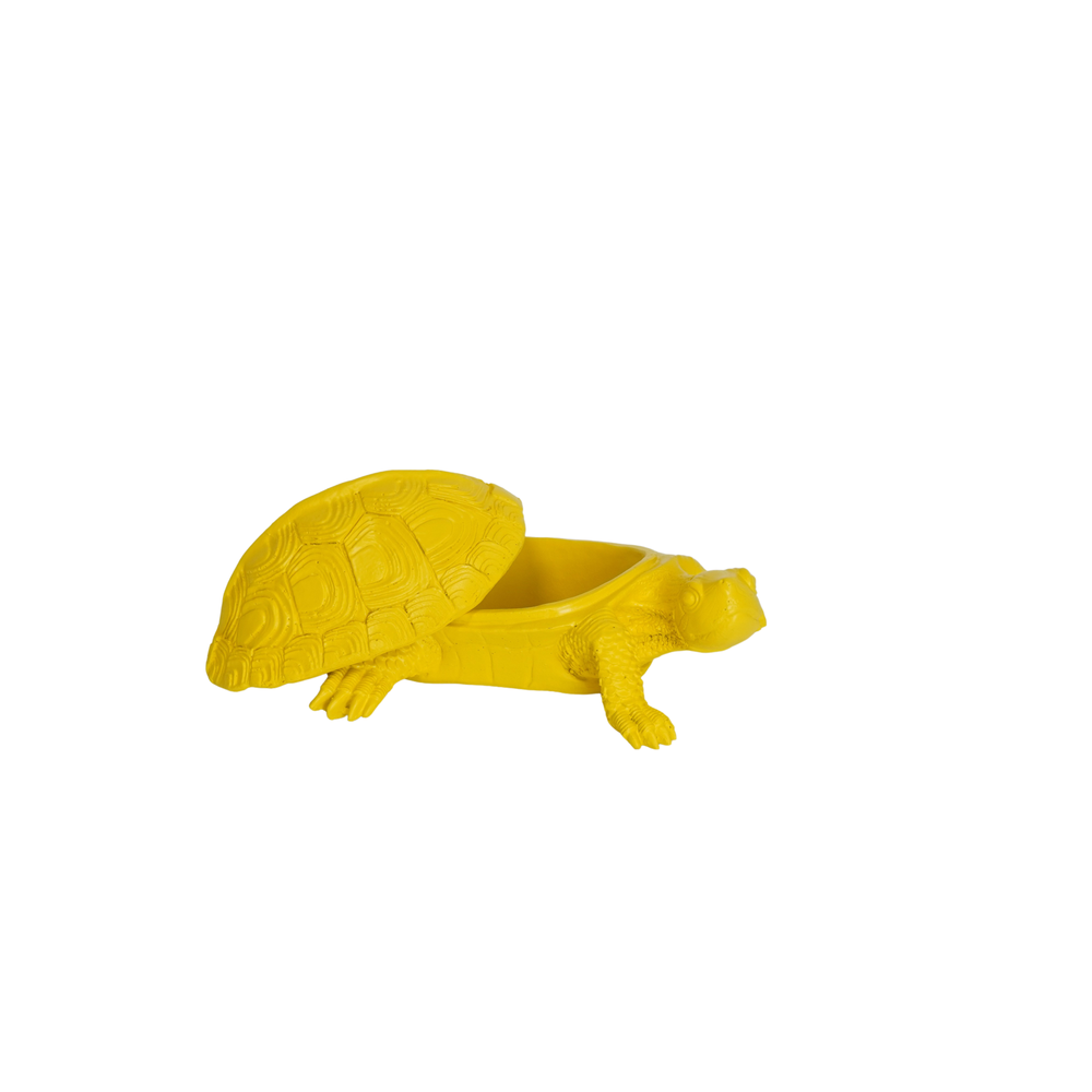 Schildpaddoos - Geel