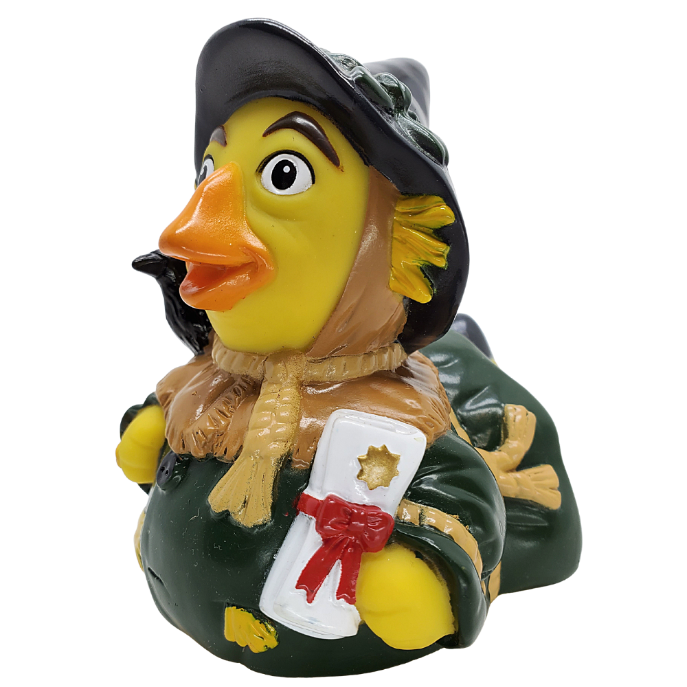 Pato espantapájaros