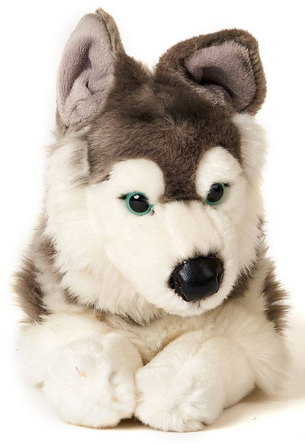 Peluche Husky gris couché Uni Toys