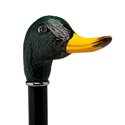 Canne Canard Colvert