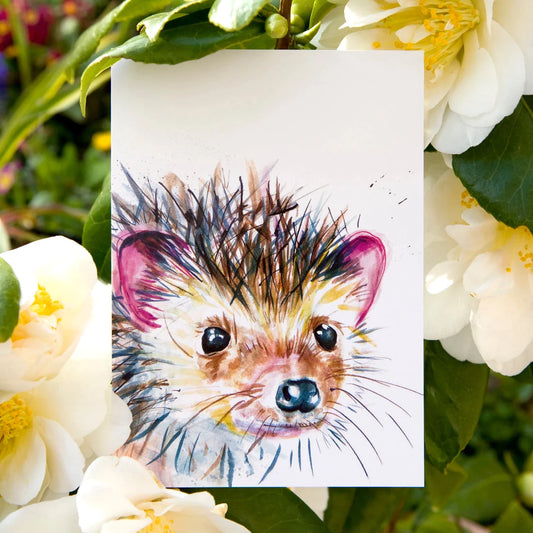 Watercolor Hedgehog Postcard