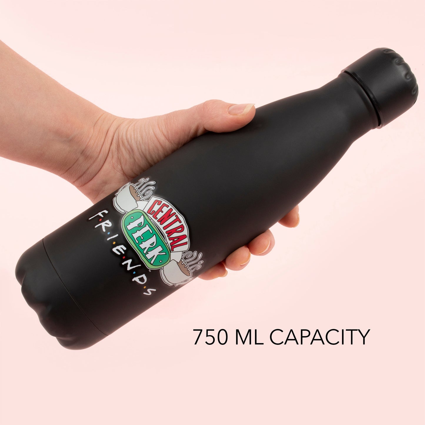 Friends acier inoxydable Gourde 750ml – noir