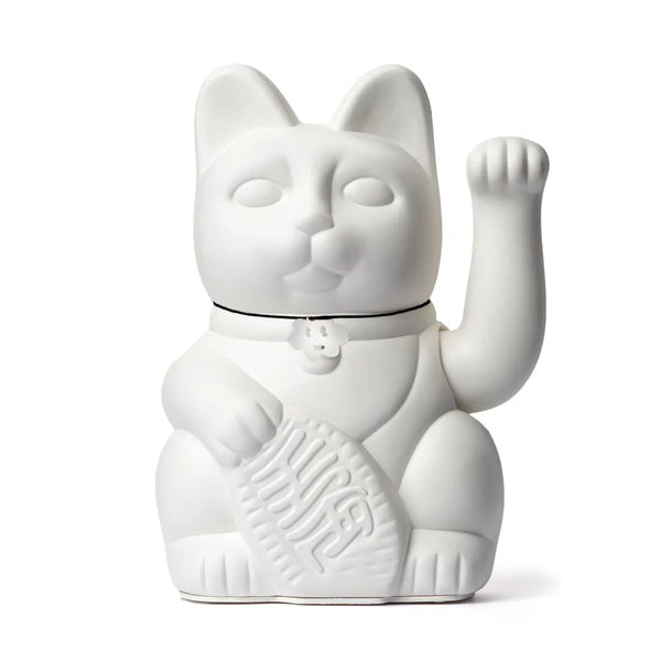 Gatto bianco fortunato