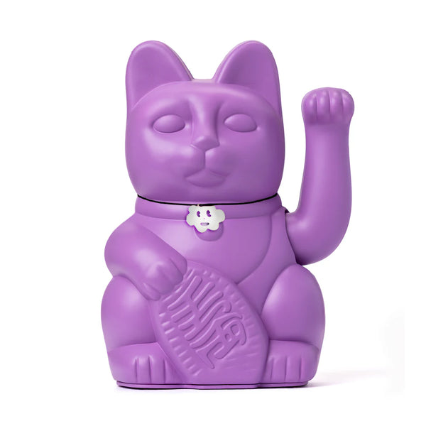 Gatto viola fortunato