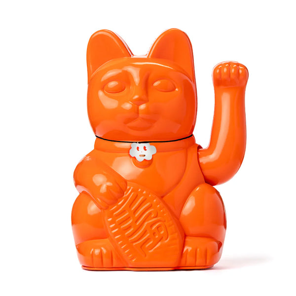 Gatto arancione fortunato