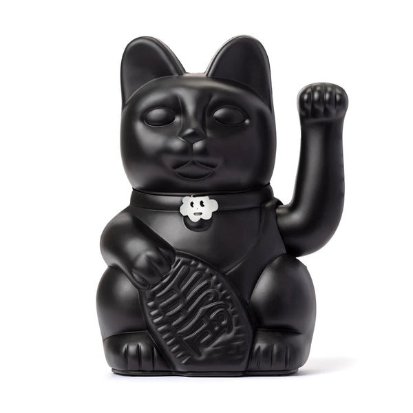 Gatto nero fortunato